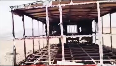 شکارچیان متخلف سه روز پس از حمله به محیطبانان، کانکسشان را آتش زدند + فیلم